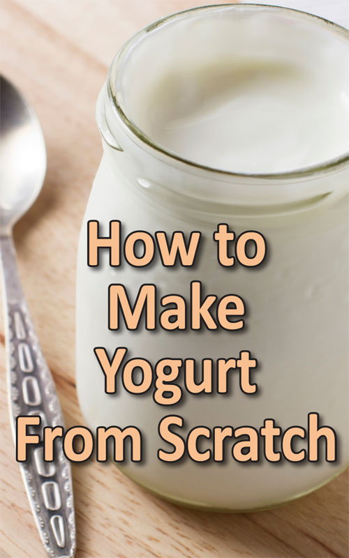 How to Make Yogurt From Scratch + Recipes Backyard Goats